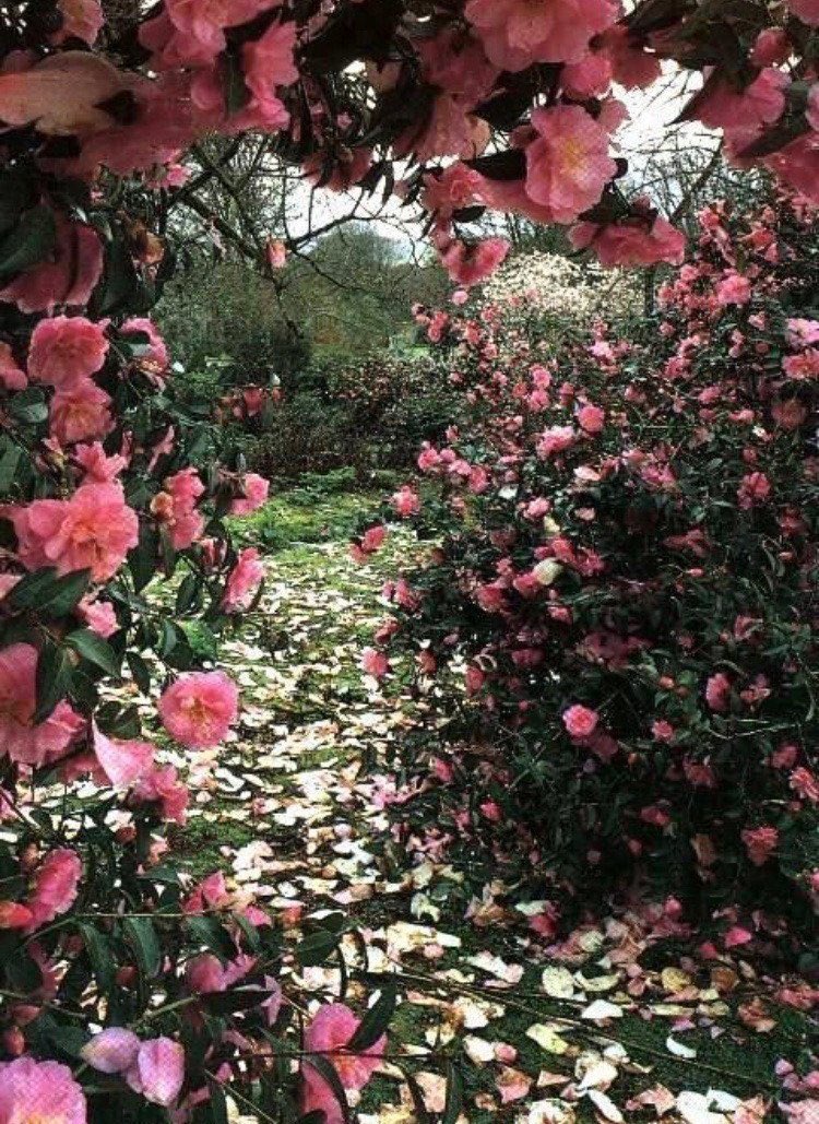 bloomele_'s tweet photo. let's get out of here https://t.co/F3HOdqKbJe