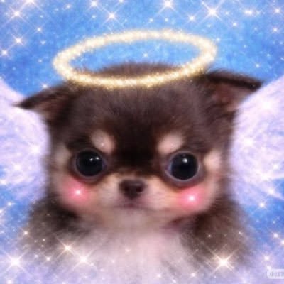 fredyfunzbear's tweet photo. "face filled with jealousy"
Literally Danielle: https://t.co/adcSWfwgWC