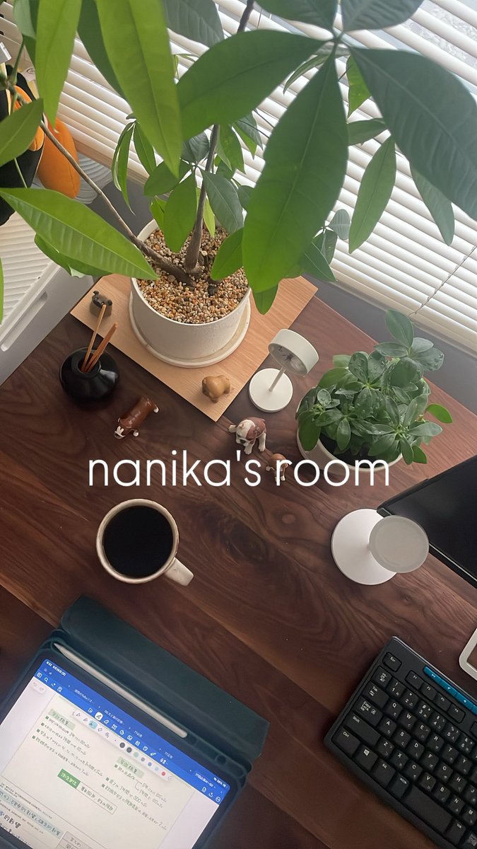 studying__vet's tweet photo. nanika's room 🌱 https://t.co/klFvEpOCYZ
