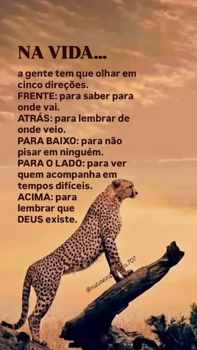 HGomessampaio's tweet photo. https://t.co/ZUxV1IBM84