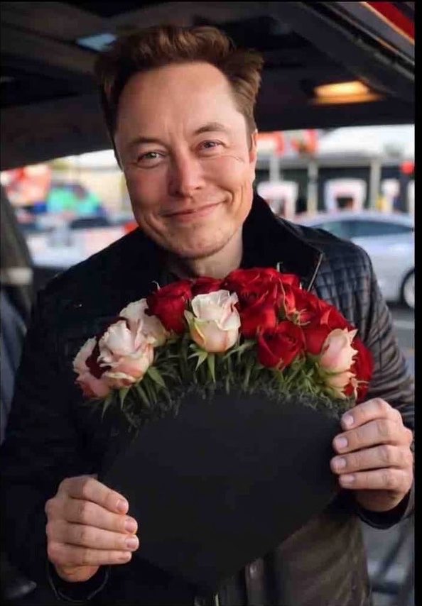ElonNation 🌍 🇺🇸 tweet media
