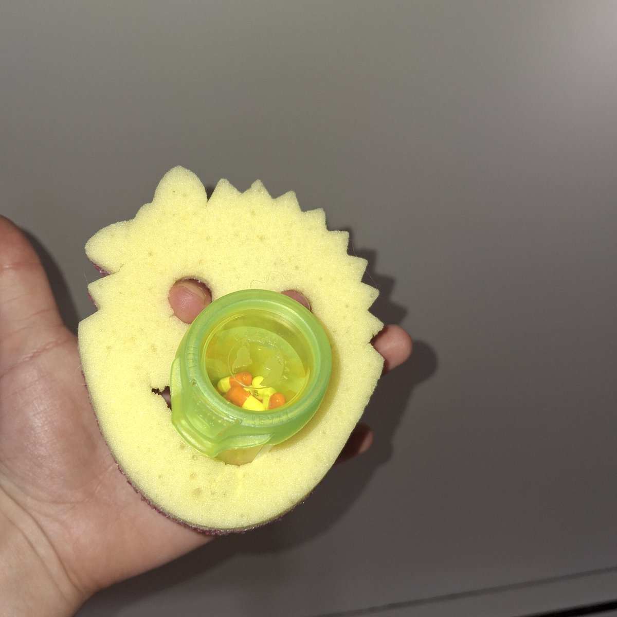 leanmaster2016's tweet photo. Help! https://t.co/tnrsw7v9pA