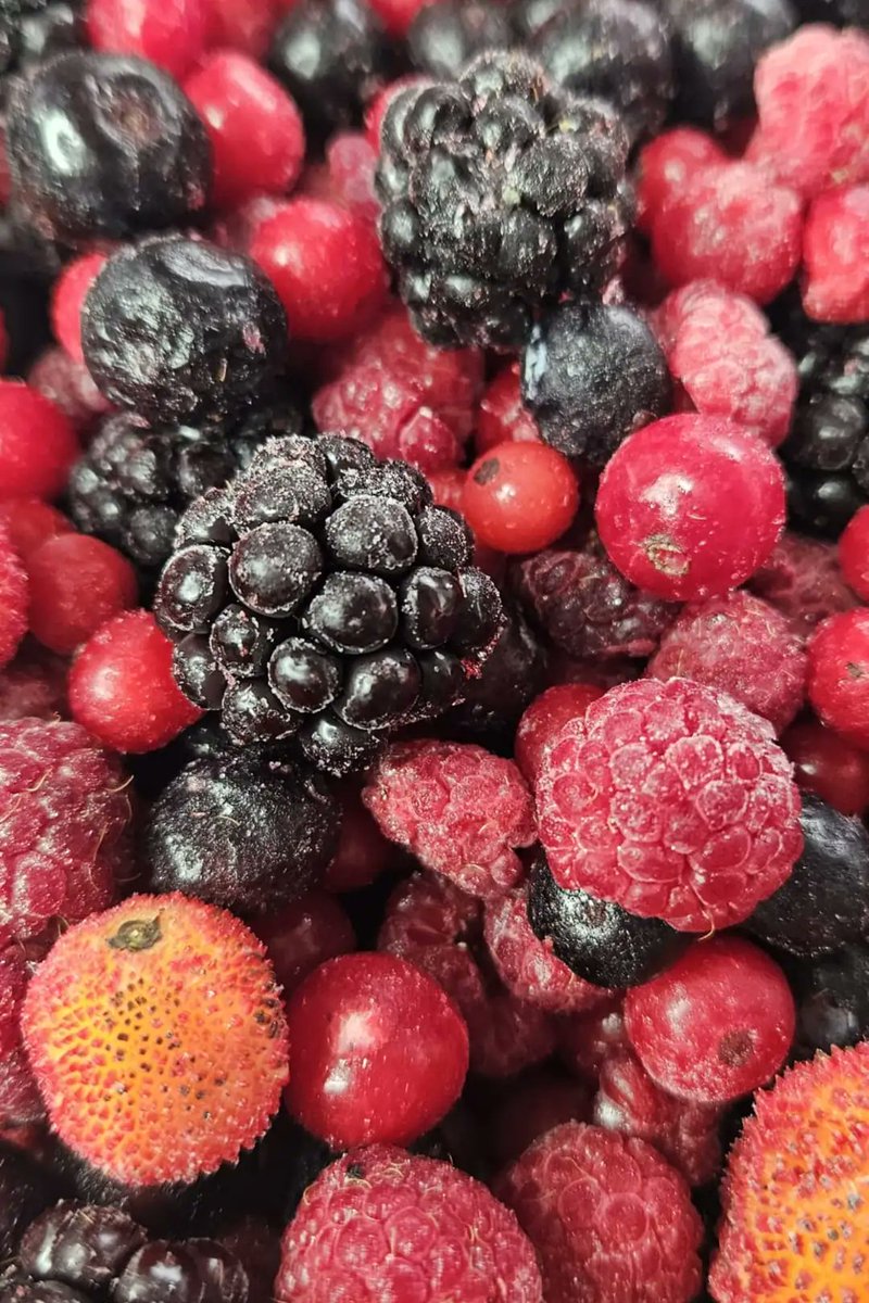 telqraft's tweet photo. Prof. Dr. Muhammed Keskin'den kalp sağlığı için meyve puanlaması:

🔷 Avokado: 10 üzerinden 9,5; içerdiği sağlıklı yağlar, potasyum ve magnezyum sayesinde kalp sağlığını destekler.

🔷 Karpuz: 10 üzerinden 7,5; sitrülin açısından zengindir ancak fazla tüketildiğinde kan şekerini yükseltebilir.

🔷 Mango ve ananas: 10 üzerinden 7; C vitamini ve bromelain içerir ancak glisemik indeksleri yüksektir.

🔷 Üzüm: 10 üzerinden 8; resveratrol içeriği sayesinde kalp sağlığını destekler fakat aşırı tüketimi kan şekerini artırabilir.

🔷 Kurutulmuş meyveler: 10 üzerinden 5; kurutma işlemi nedeniyle taze meyveye göre daha düşük puan veriyor.

🔷 Dondurulmuş meyveler: 10 üzerinden 8; hasattan sonra doğru şekilde dondurulmuşlarsa besin değerlerini büyük ölçüde korurlar.

🔷 Portakal ve greyfurt: 10 üzerinden 8; hesperidin ve C vitamini bakımından zengindir, kalp sağlığını destekler.

🔷 Ancak ritim düzenleyici veya kan sulandırıcı gibi bazı ilaçları kullananların greyfurttan kaçınması gerektiğini belirtiyor.

🔷 Elma ve armut: 10 üzerinden 8; pektin içerikleri sayesinde LDL kolesterolün düşürülmesine katkı sağlayabilir.

�� 10 üzerinden 10 puan alan şampiyonlar ise yaban mersini ve böğürtlen gibi orman meyveleridir.

🔷 Orman meyvelerinin nitrik oksit salınımını artırarak damar esnekliğini desteklediğini ve kalp sağlığı açısından en faydalı meyveler arasında yer aldığını ifade ediyor.