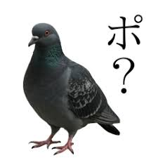 madogiwa_oji's tweet photo. @pikatenor …？ https://t.co/QqTNlfvdnz