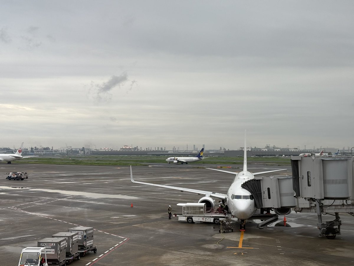 M_chnY's tweet photo. JL183 HND→KMQ
#みーちゃんずふらいと No.150 https://t.co/4eQLvHg0zm
