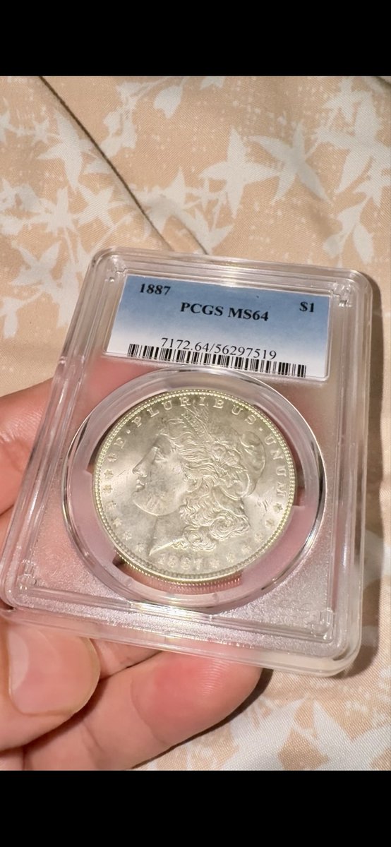 RodCisneross's tweet photo. @PCGScoin My first Morgan!! 😁 https://t.co/Cme1NOVNKH