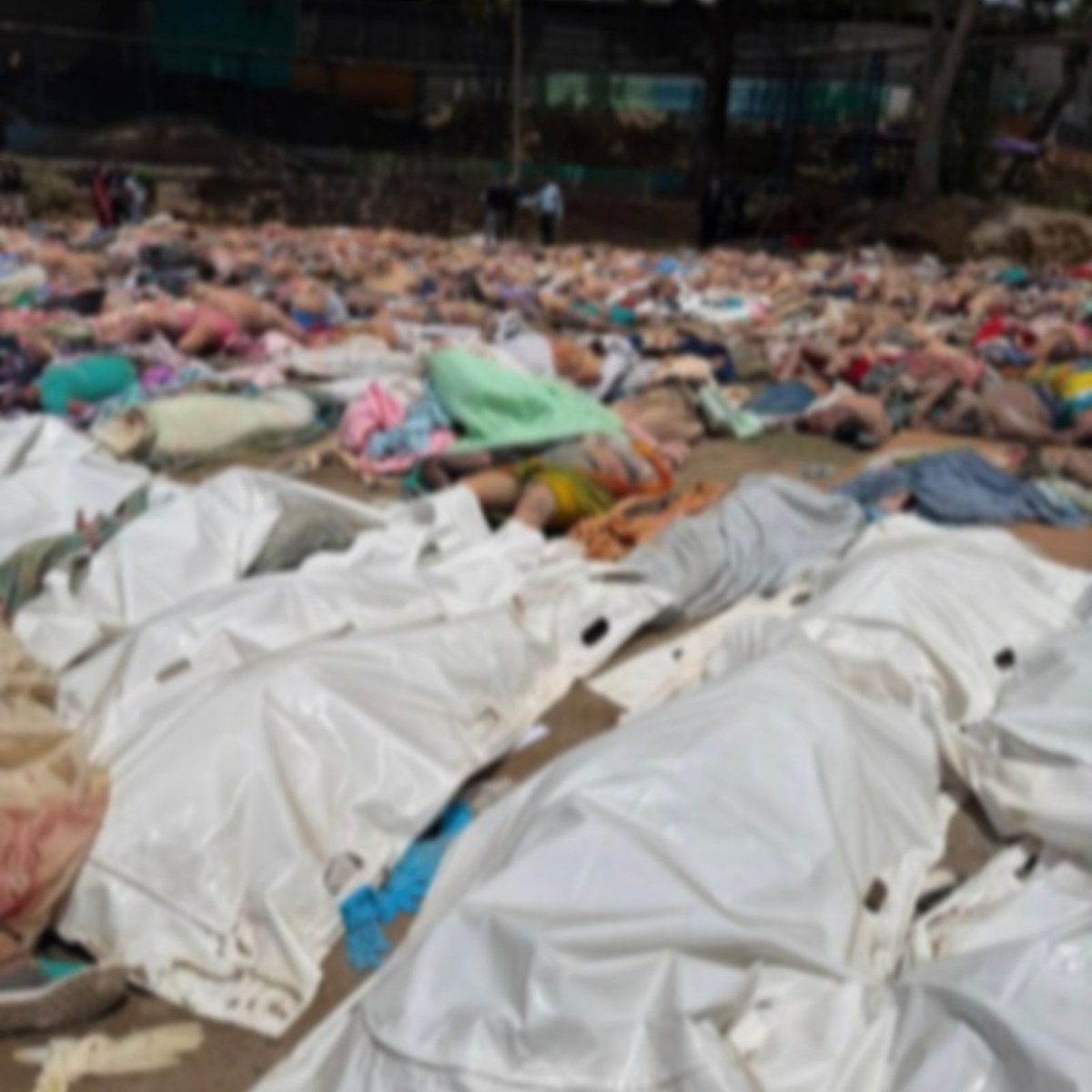 GenteNoticias's tweet photo. #Venezuela| A 1.430 asciende el número de muertos por los
terremotos que han sacudido el país en más de un siglo, según el Gobierno
Entre los fallecidos - en su mayoría venezolanos, se encuentran 24 colombianos, y se han contabilizado personas procedentes de España, Portugal, Brasil, China e Italia.
Unas 30 mil personas buscan recuperar más cuerpos, concluido el lapso de tiempo para encontrar sobrevivientes, entre voluntarios locales y rescatistas enviados de otros países.