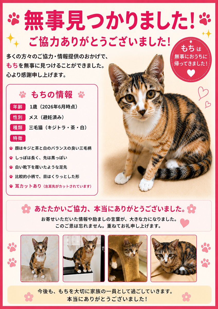 クロ🐾𓏲𓎨 (@zx400g) / Posts / X