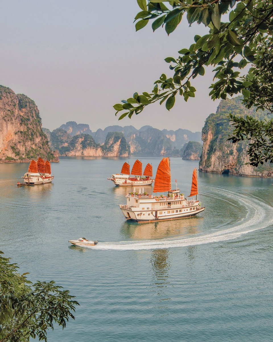 DandDTravel6404's tweet photo. Book now with Explora Journeys and visit Asia in 2027. From Japan’s serene gardens to the vibrant energy of Bangkok, prepare for a Journey of complete relaxation. ​

Contact me to learn more. ​
#ExploraJourneys #OceanStateOfMind #SailUnique​

#danddtravel #travelmore #travelfun https://t.co/g9dUbiI6dd