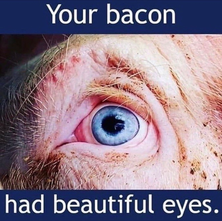 veganfuture's tweet photo. https://t.co/ehUbuwlMcA