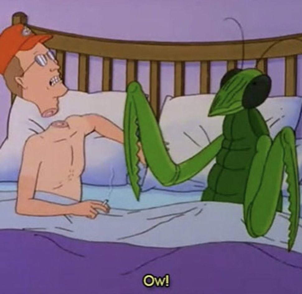_Boomhauer's tweet photo. https://t.co/lWRWu7Gpnv