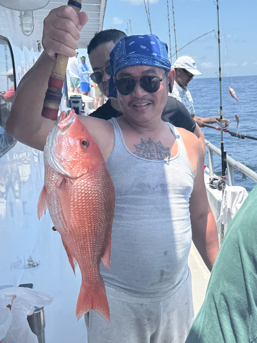FloridaManEric's tweet photo. Found some fish!
#fishing #florida #FreshCatch #destinflorida
https://t.co/JnVQZSHtm0 https://t.co/pDw3FCtnvo