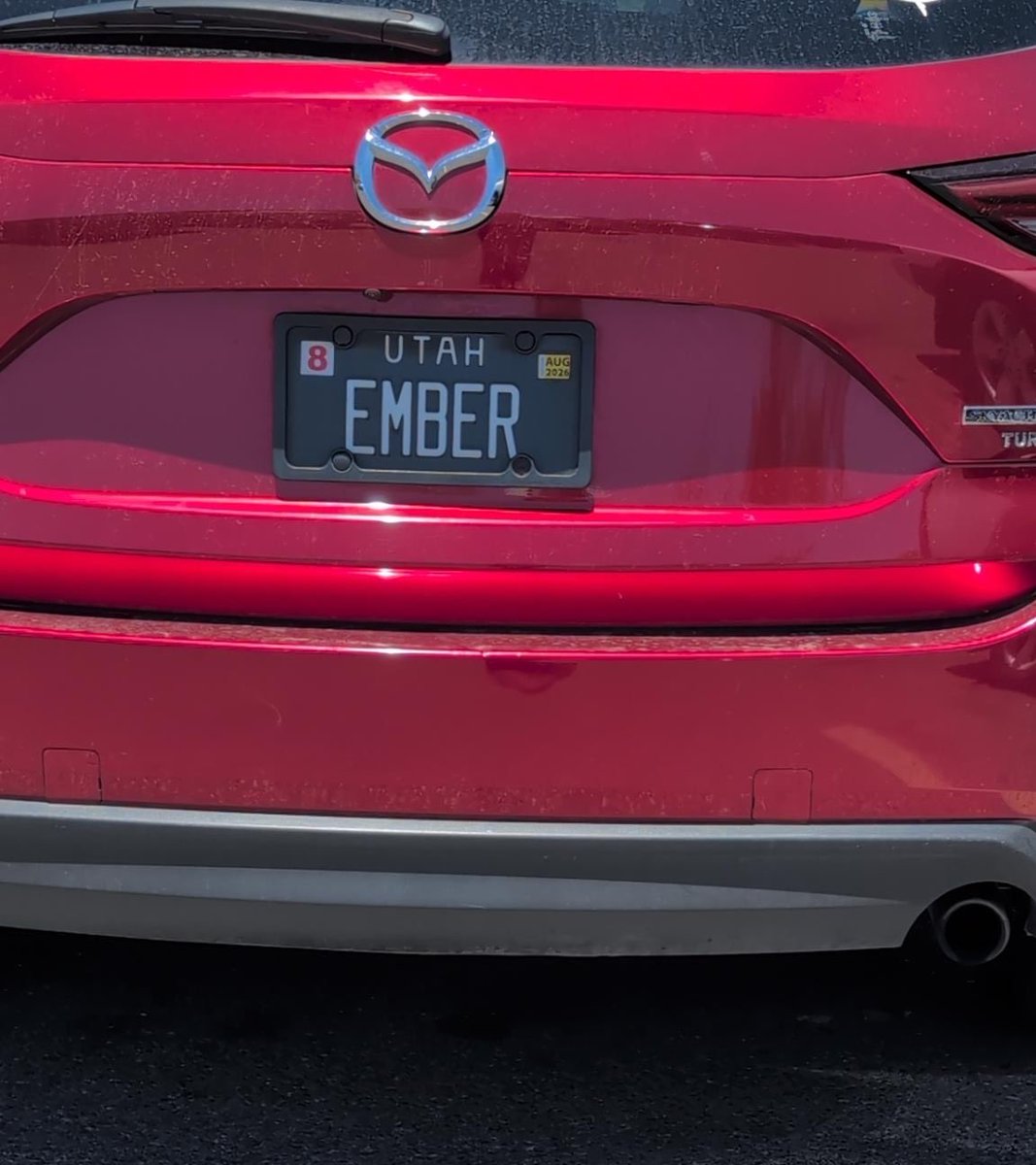 SwordOfLabanX's tweet photo. I found @upliftandlift  (Ember) https://t.co/ijRYw6FG8p