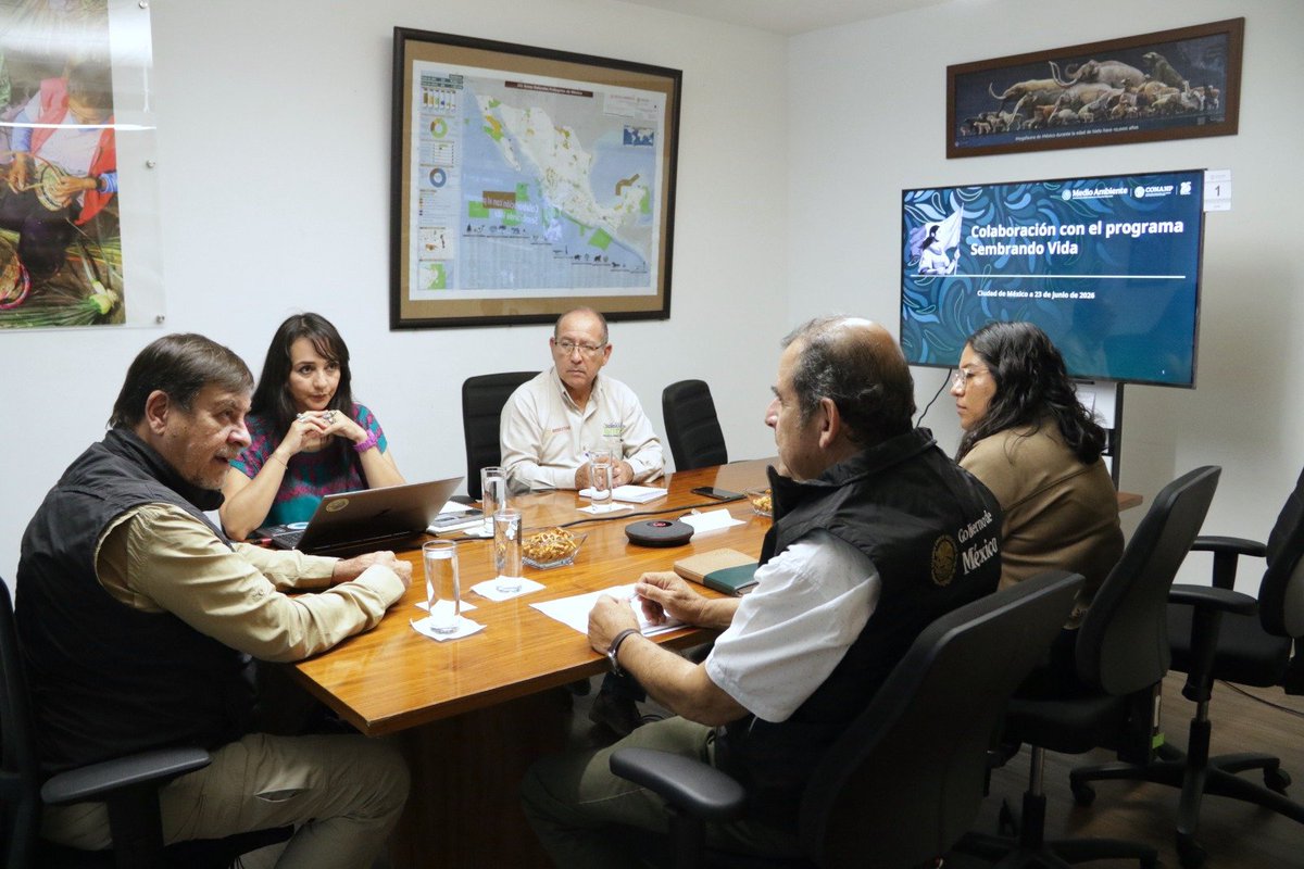 CONANP_mx's tweet photo. Tuvimos una reunión de trabajo con el subsecretario Adrián Flores Eredia, de @bienestarmx y miembros de su equipo, para dar seguimiento a la agenda de colaboración entre la #Conanp y el programa #SembrandoVida en favor de quienes habitan y cuidan el territorio. 🌱 https://t.co/xwSCdzJTCj