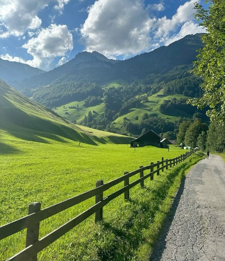 naturehealyou's tweet photo. Switzerland countryside https://t.co/5v3LGCHX9G