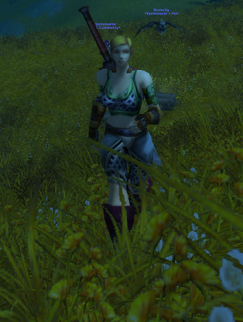 innxcence_'s tweet photo. Fatloserchud has made it to westfall at level 15. https://t.co/tKv9enEuvt