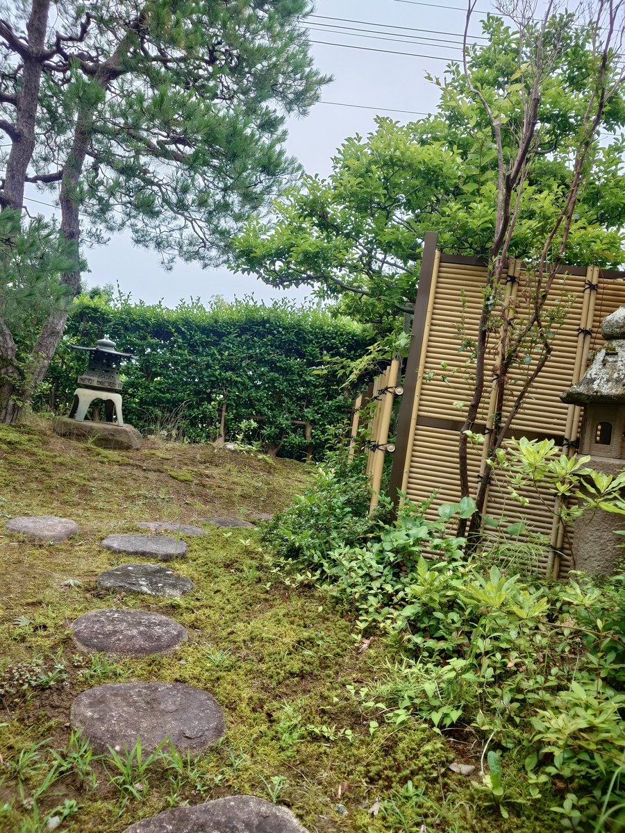 YKTSA2's tweet photo. 除草剤撒きに実家に到着
まずはうちの猫ちゃん吸わなきゃ https://t.co/KItwKsXOfi