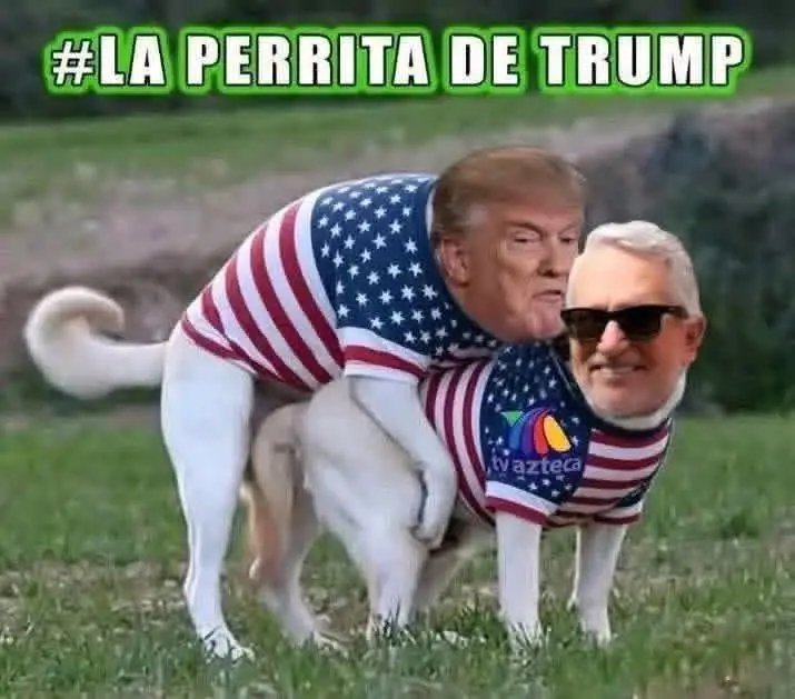 carlossanicbc's tweet photo. Quién lo dice:
LA PERRITA DE TRUMP. https://t.co/TX8wsxHkqr
