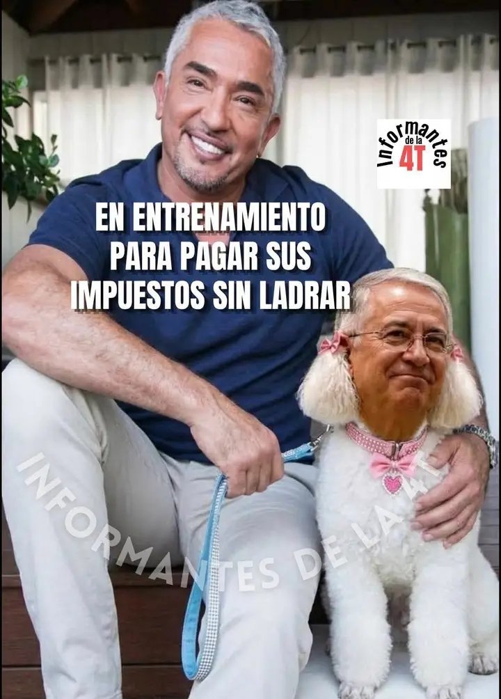 carlossanicbc's tweet photo. Quién lo dice:
LA PERRITA DE TRUMP. https://t.co/TX8wsxHkqr