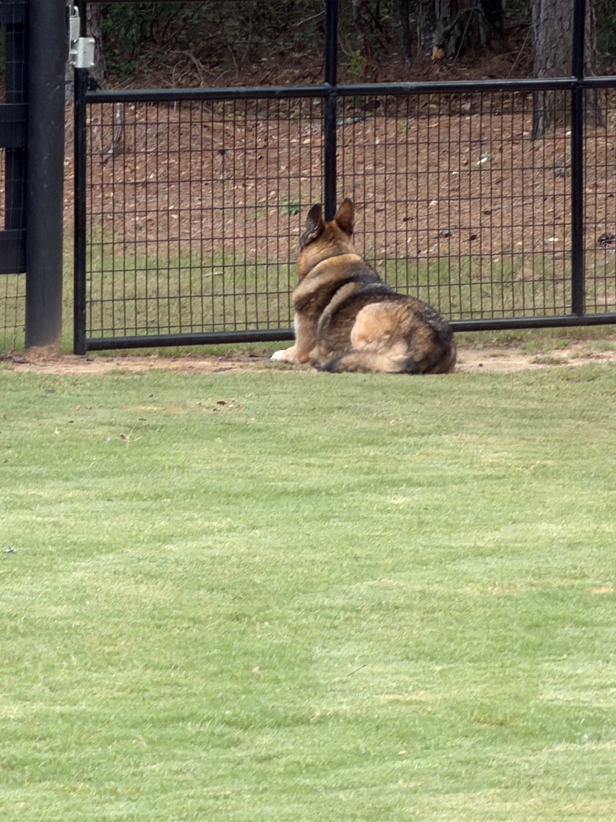 ericlc72's tweet photo. Waitin’ on momma to come home. https://t.co/Nohb84hCxQ
