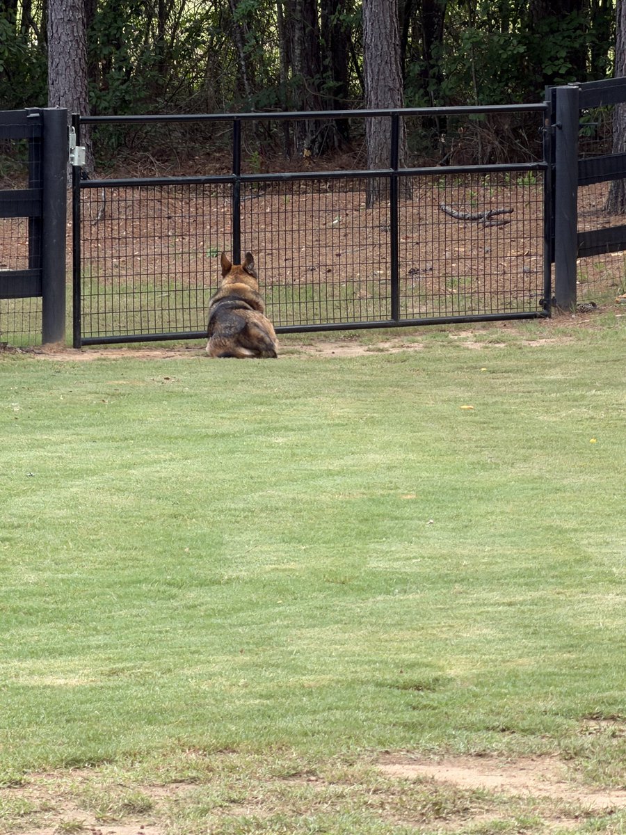 ericlc72's tweet photo. Waitin’ on momma to come home. https://t.co/Nohb84hCxQ