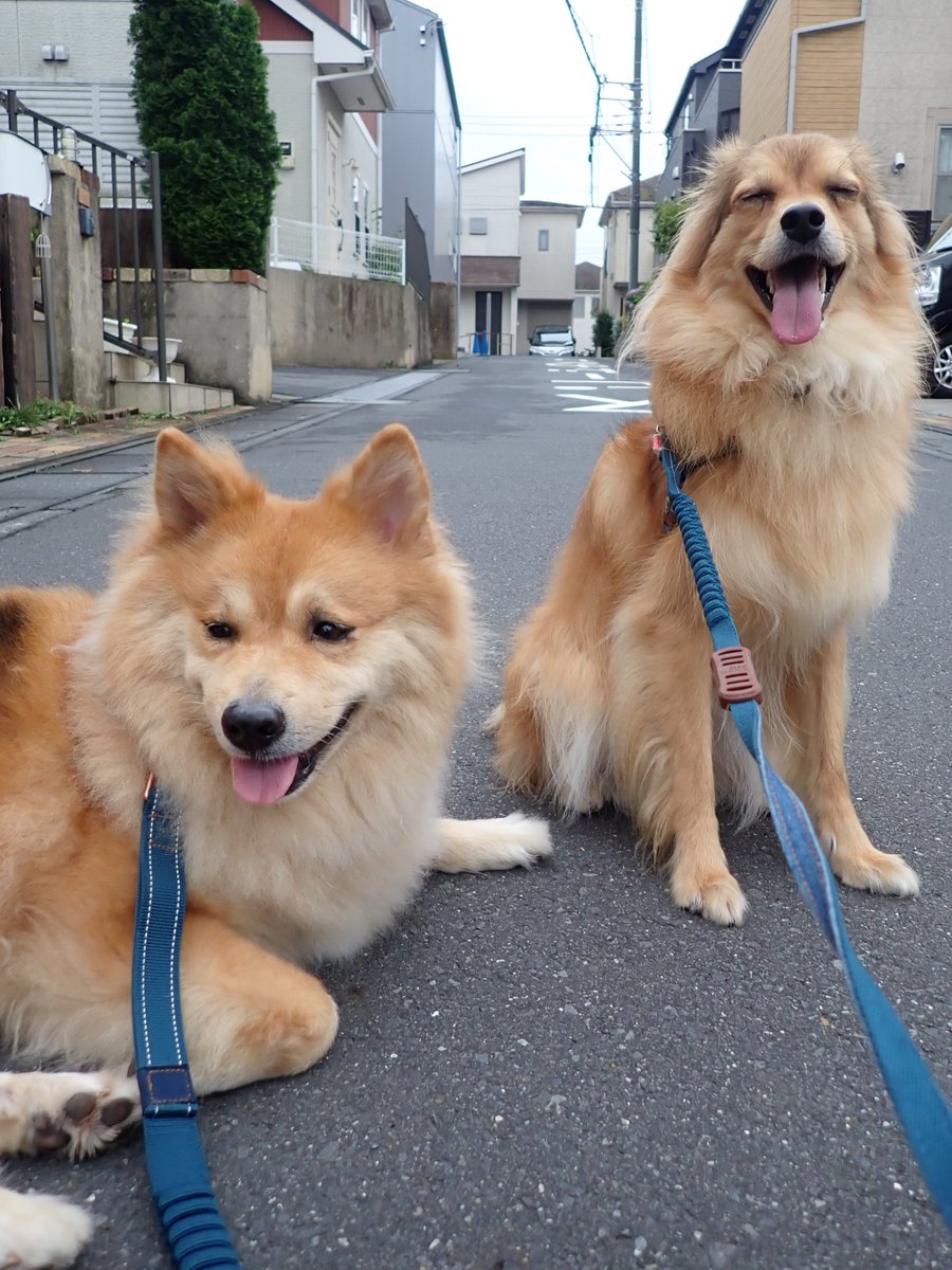 monaka_no_onaka's tweet photo. https://t.co/qIaAq7oiia