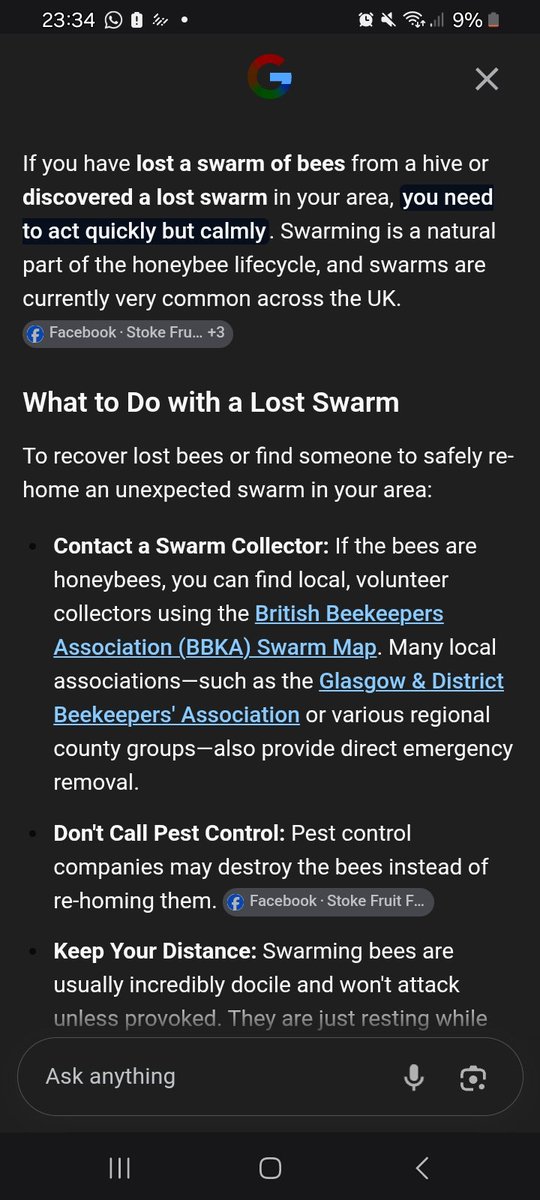 SPACEPIR4TE's tweet photo. @LeeCraddock12 @OnlyAsking3 It's a lost swarm. I think you've to contact a local beekeeper to help save them. https://t.co/dR0aUcP4dr