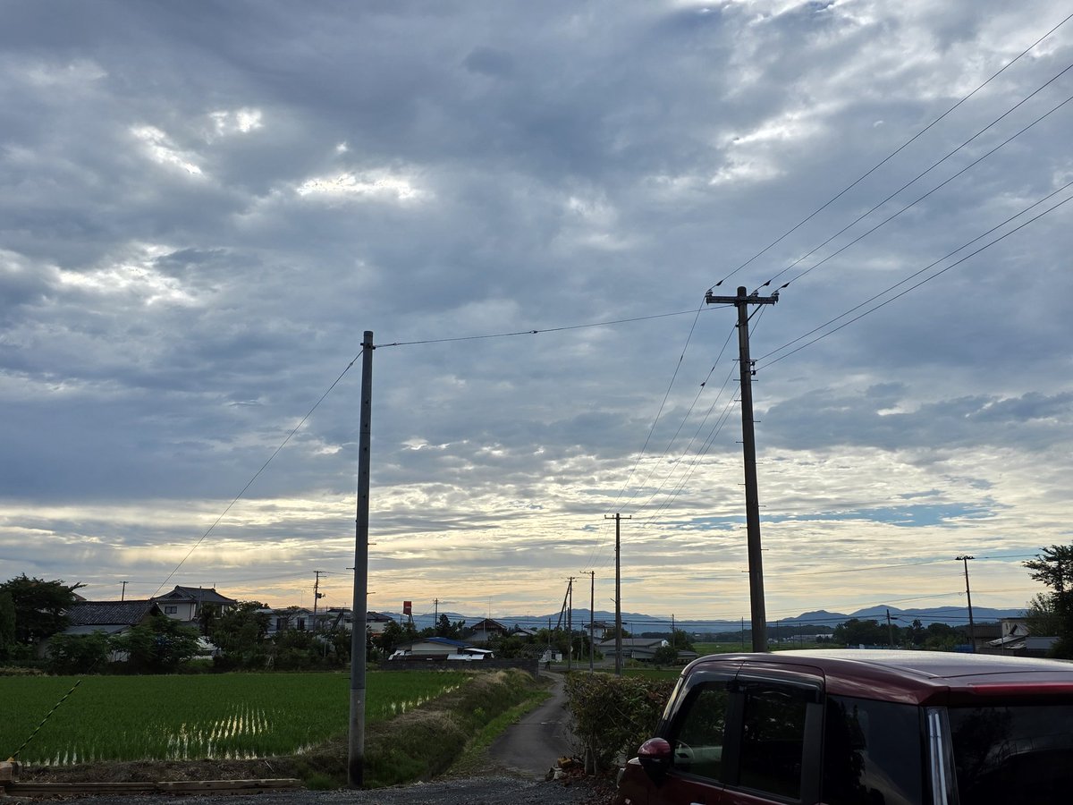 hanavitz's tweet photo. 福島県郡山市　29℃の予報です
　
あっという間に　7月です。
今日も　熱中症に注意しましょう。

#ゴールデンレトリバー
#華U^ェ^U　13歳🌈
#想い出
#がんサバイバー 
#乳がん粘液癌+浸潤性乳管癌 https://t.co/c0LsbQXjWz