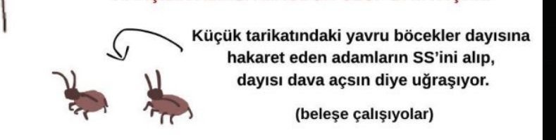 OOperor94003's tweet photo. @BerkeSeverRN @onlydramaX qweşlkqewlşkqweklşqweklş MERHABA BÖCEK https://t.co/Pd3bEygo0e