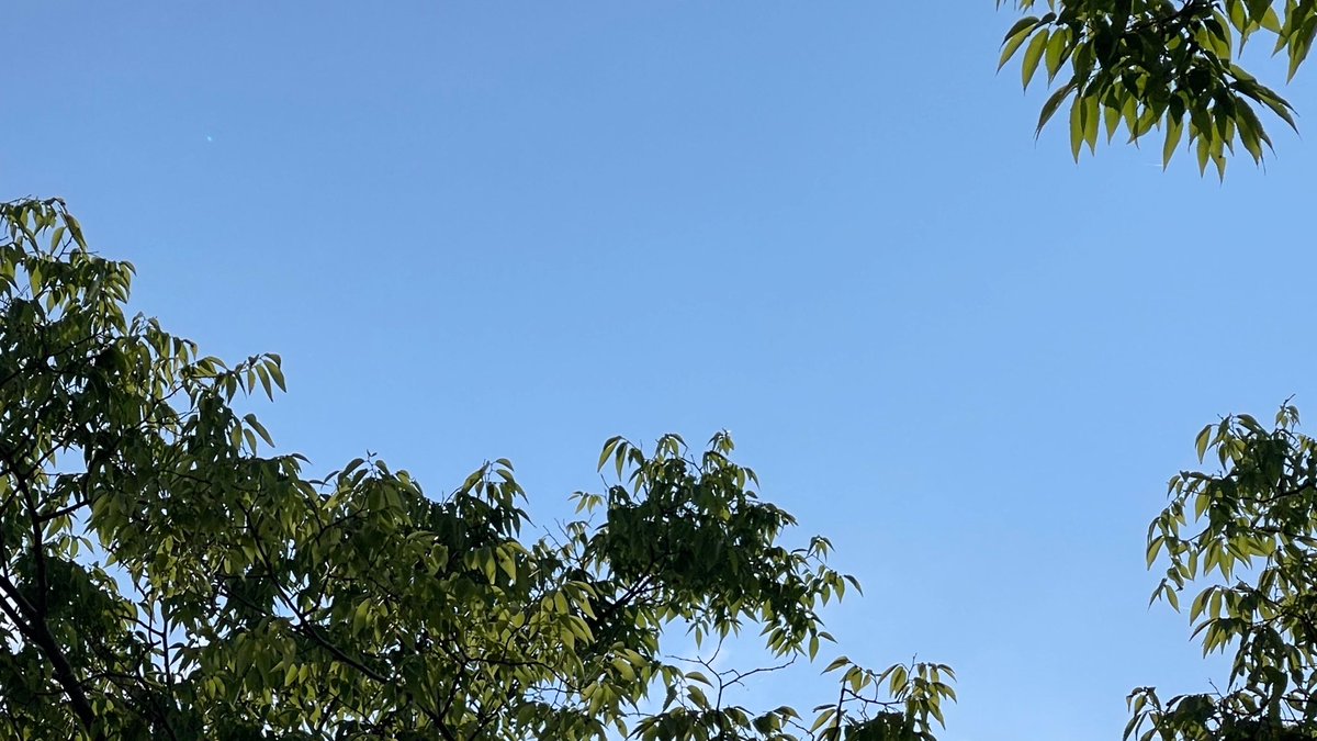 rikoderiko's tweet photo. 今朝は久しぶりに朝んぽへ. . 𖥧𖥧 

6月ももう少しで終わるけど
一日一日を大切に過ごしたいね｡.ꕤ

おはようᵕ̈* https://t.co/rJDsde5EkN