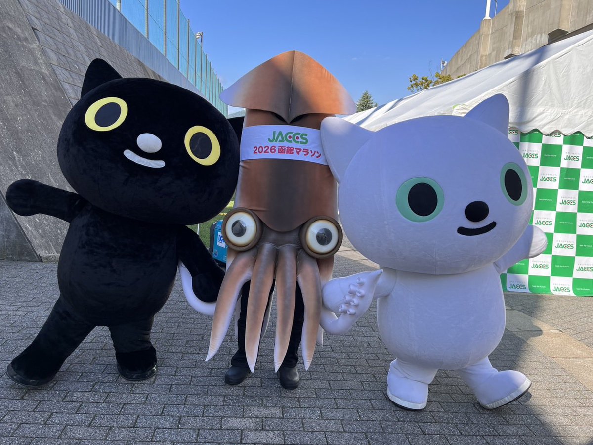 alien_ikar's tweet photo. マラソン会場で運輸的ネコちゃんに遭遇〜。
チョット連行されてる感があるような…。 https://t.co/ZDclVjCILT