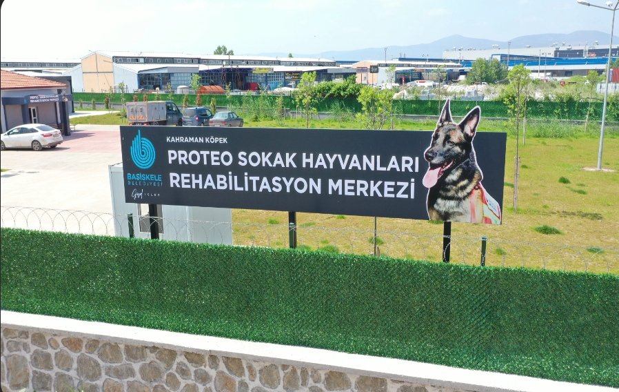 Esin Deniz tweet media