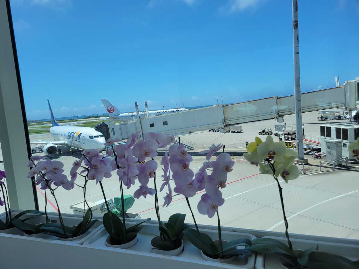 ceres6th's tweet photo. さぼってた昨年分
2024年6月:息子たちが修学旅行に行っている間久しぶりに夫婦２人の旅行で沖縄。
2024年7月:5回目の韓国出張。週末に海雲台。
2024年8月:家族と行ってなかった東京タワー
2024年9月:翌年始まる前橋舞台のアニメのイベントが地元ショッピングモールでよくやってた https://t.co/tz6C3iiooN