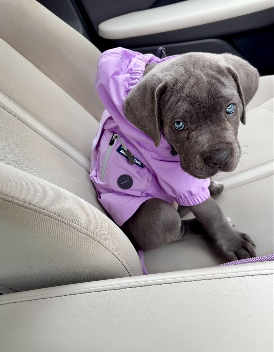 SharRonLiscell's tweet photo. Having an attitude you gotta wear a raincoat is crazy 😂 https://t.co/OHa2pfeSUS