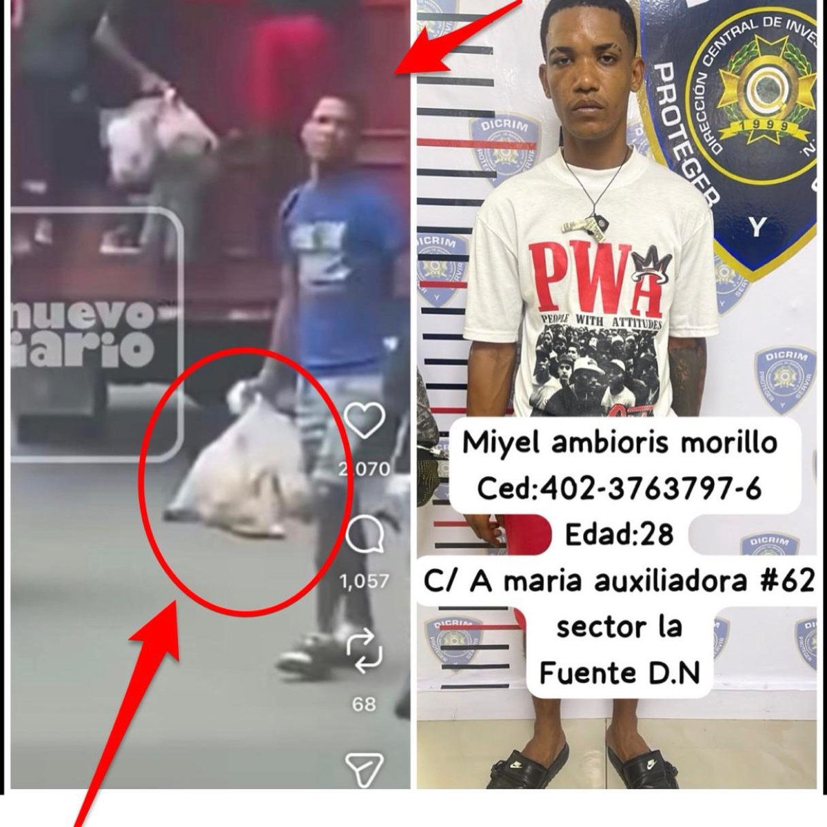EuricSanti's tweet photo. Yo sí me alegro de que hayan atrapado a estos delincuentes robando ese disparate.

Ahora, me gustaría que la Policía (@PoliciaRD) fuera igual de diligente cuando son los funcionarios y pelafustanes con las tarjetas del Bono Lo Que Sea... 

Han sido MUCHOS los vídeos... https://t.co/ez7Wmbgoiv