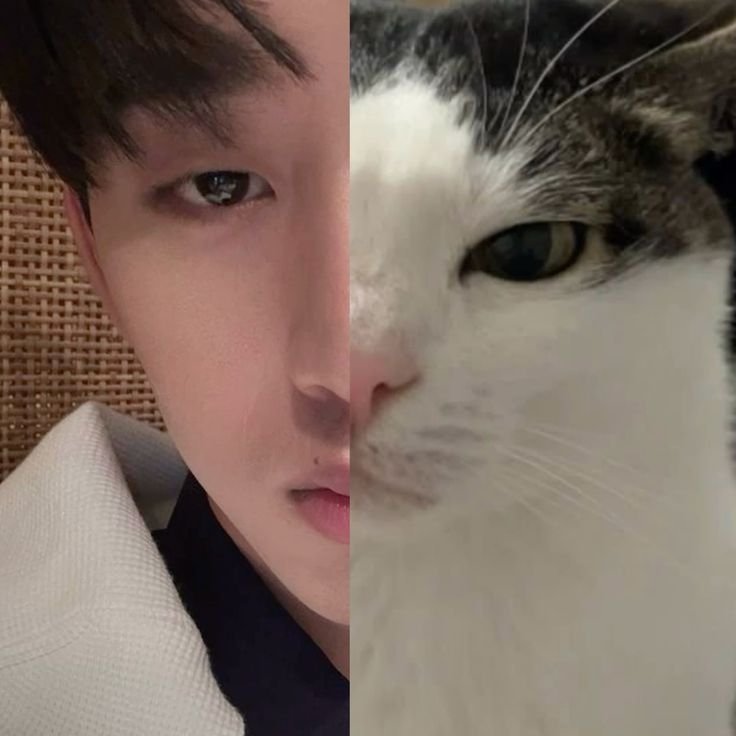 westheroids's tweet photo. #williamest a short au

punya pacar yg cuman bisa lu liat bandelnya— dan wibuny doang.

by ; westheroids https://t.co/mkwn5xq4Tz
