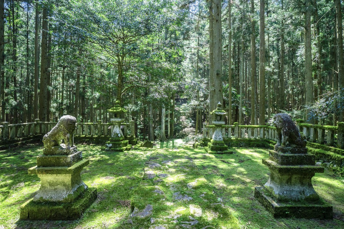 3m1ek's tweet photo. 自然に還りゆくような神社 https://t.co/FBhK2oQyG6