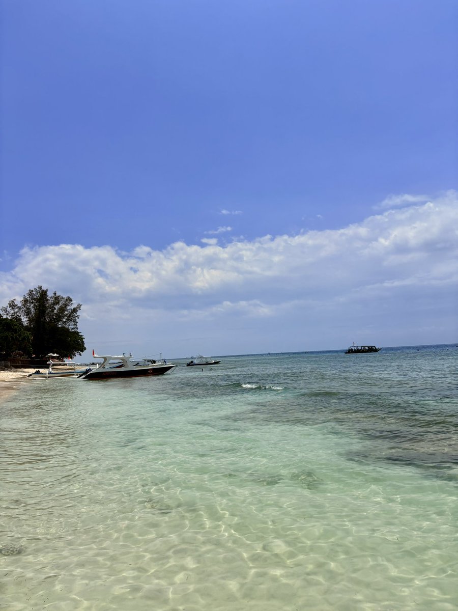 mel_bzk's tweet photo. Tellement nostalgique de Gili Air https://t.co/c1Km9d9ftj