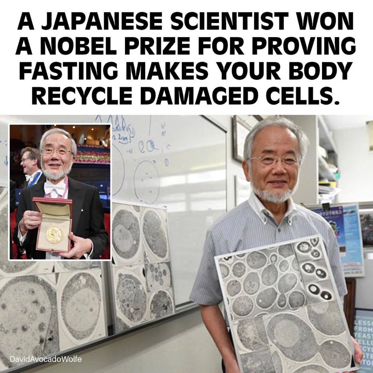 DavidWolfe's tweet photo. https://t.co/Klr20Mdg32