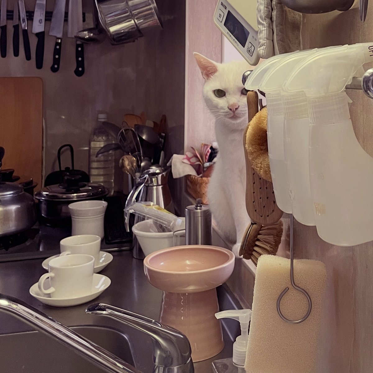 HL2yoPTbIAAh2T2.jpg