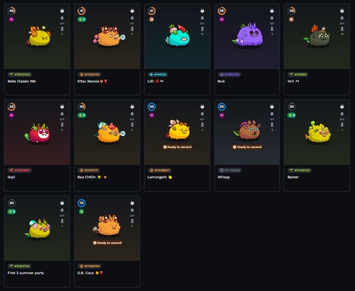 brainXwave's tweet photo. Looking to sell 92 axies I own as bundle, includes 12x collectibles (54slips/day; 2x Japanese, 5x Nightmare, 5x Summer) and 80 other axies (various levels/part upgrades)  Asking $450 usdc for the lot! Will consider serious offers on the lot https://t.co/bEVayeeQ1N