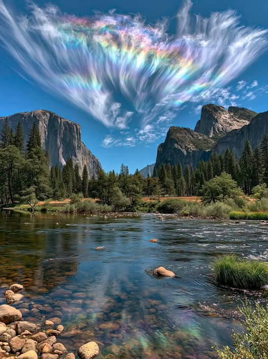 Georgia998044's tweet photo. Yosemite National Park in California 😍 https://t.co/C5hvpADqUj