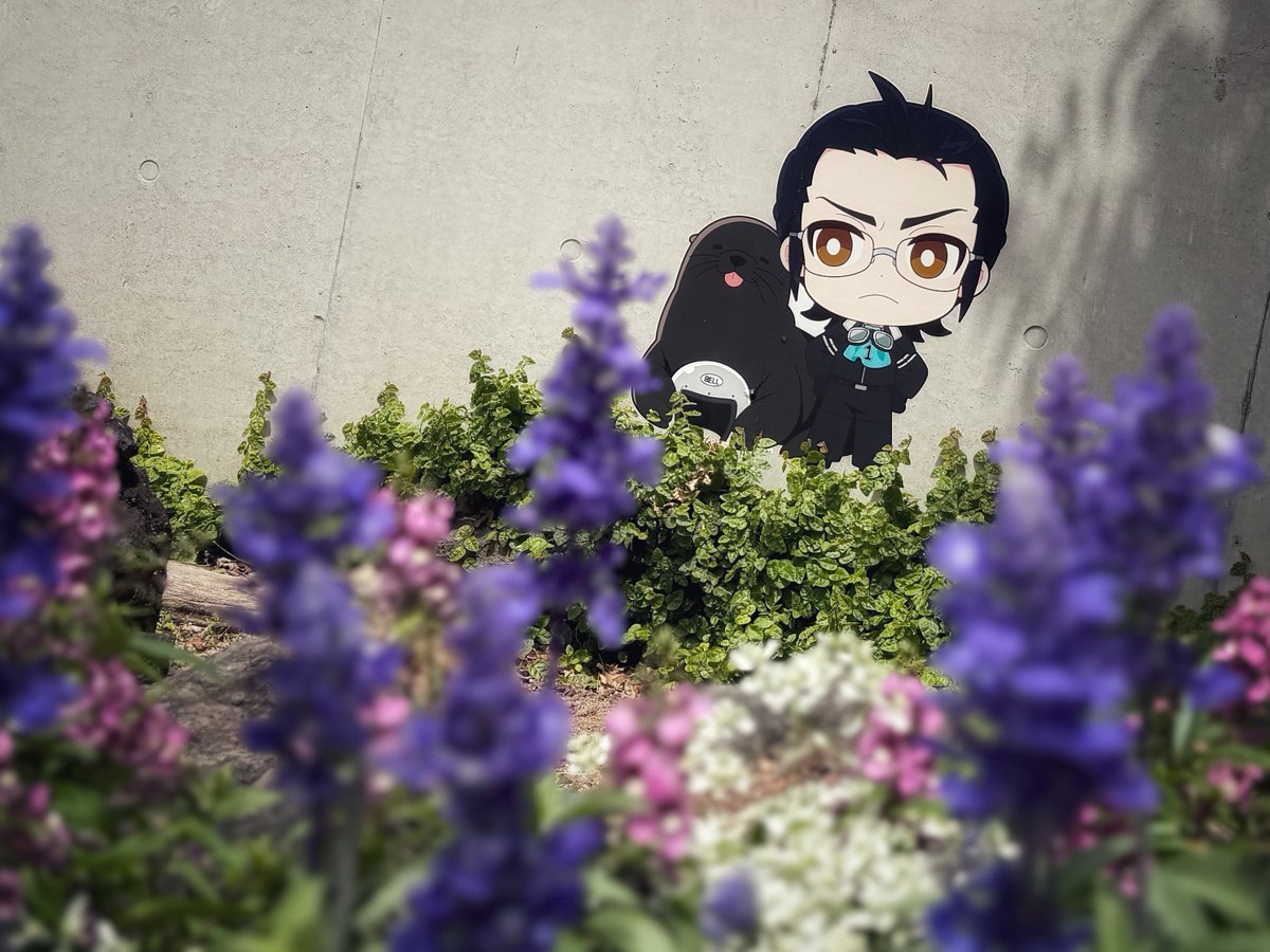 seaparadise_ag's tweet photo. #P30th #シーパラ 
https://t.co/QRf03vjz6z https://t.co/Mwh9jSSpIm