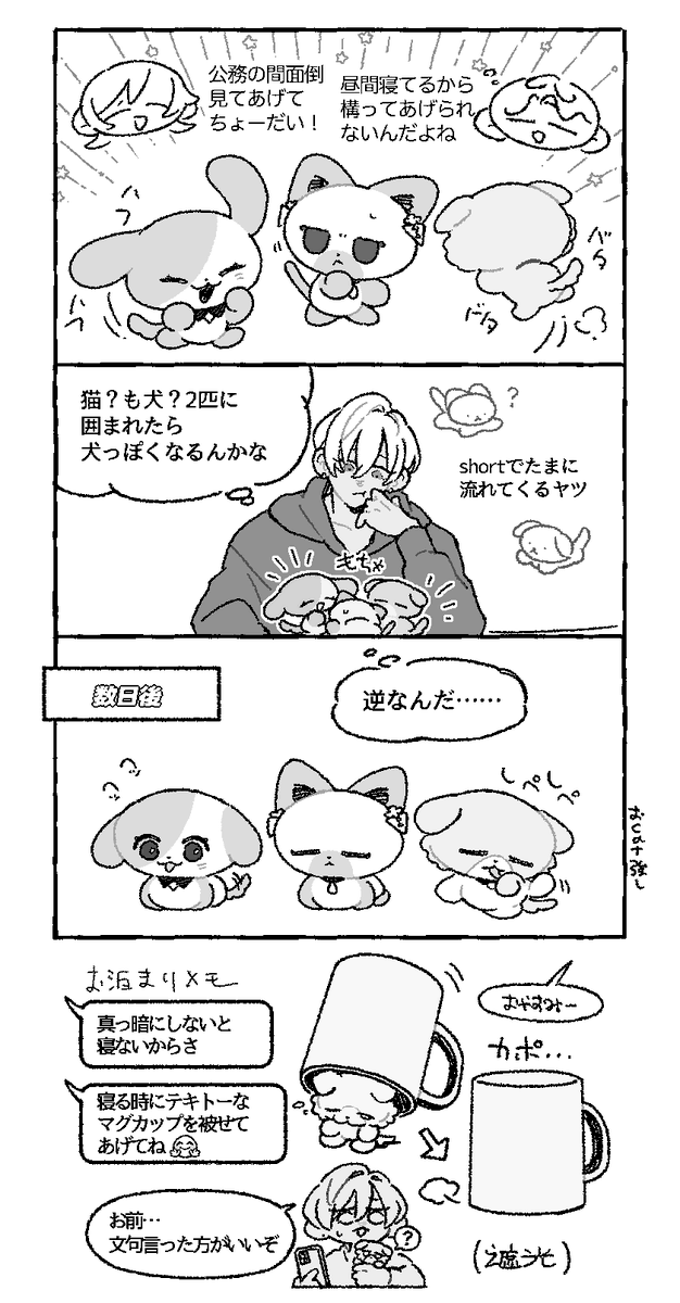 ritz403picola's tweet photo. たうん人馴れ期間預かり保育 https://t.co/VuMcMHf1ie