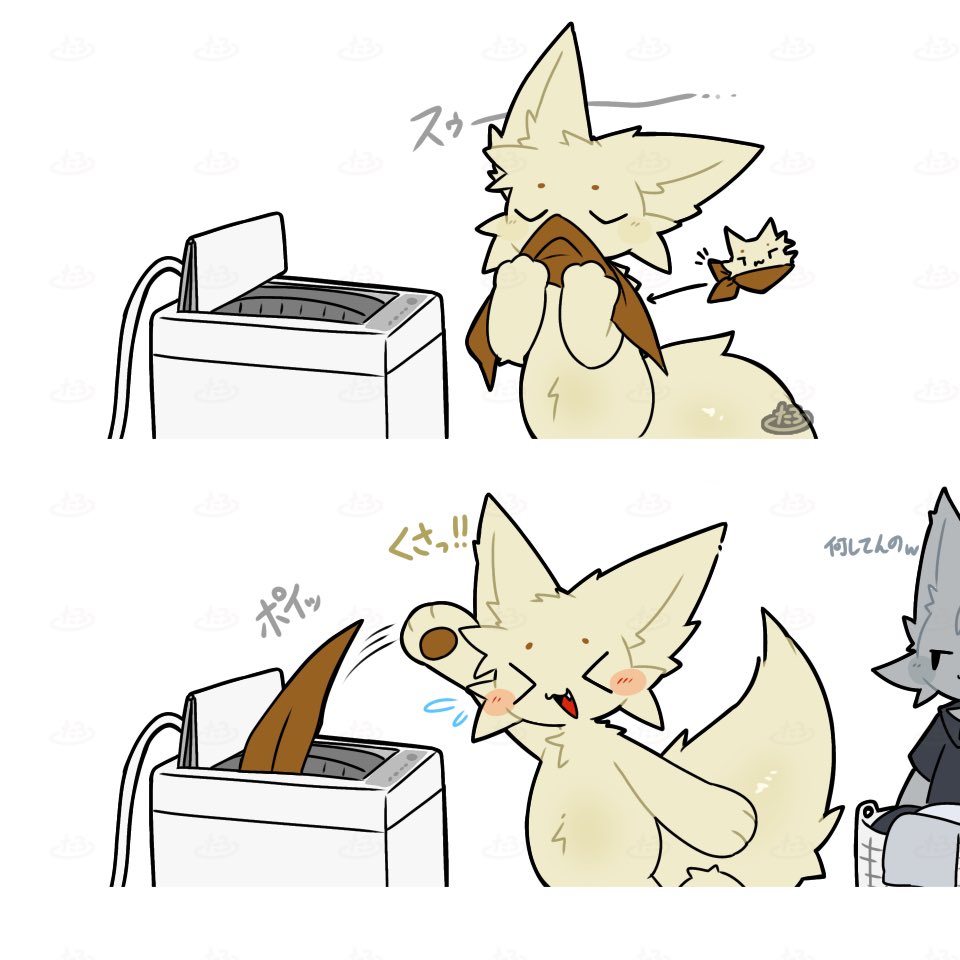 mofumofu_nyaro's tweet photo. 洗濯前ルーティン https://t.co/DXJtZzNoKL