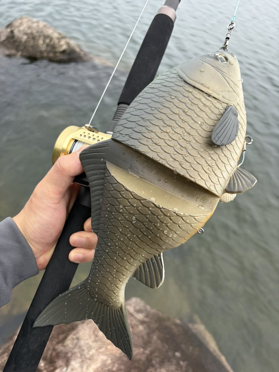 48ty_fish's tweet photo. 普段マグロやGTルアーに慣れてるアングラーでも、ぶら下げた瞬間に、

『これ身体壊すヤツやん…』

ってなる圧倒的な重量感😂笑 https://t.co/tYu4gtAxjp