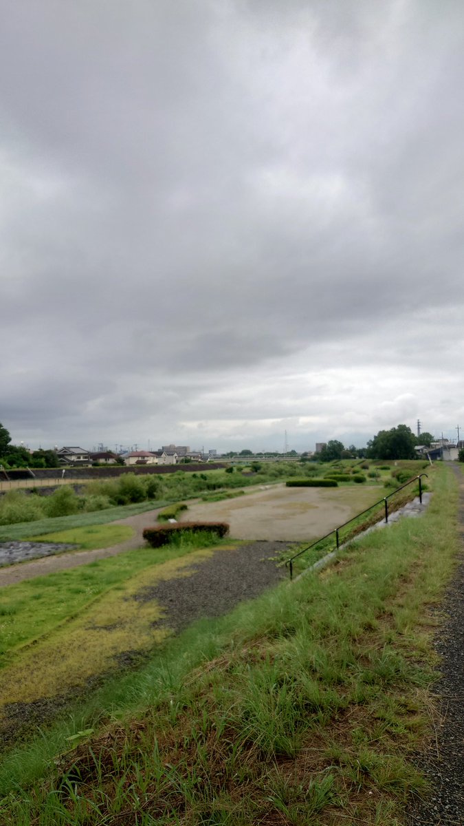 KoheiShirasu's tweet photo. ネットニュースになってた雨上がりのキノコ増殖地元にもあった https://t.co/zRWzUk6qOU