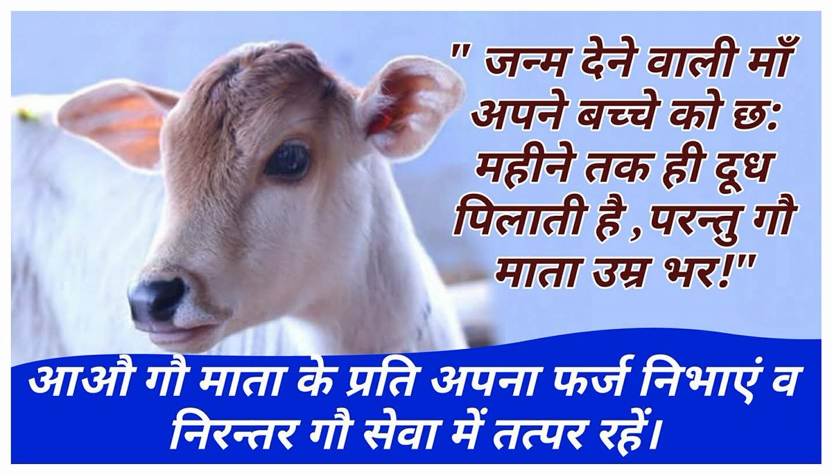 ravoria's tweet photo. " जन्म देने वाली माँ अपने बच्चे को छ: महीने तक ही दूध पिलाती है , परन्तु गौ माता उम्र भर!"

आऔ गौ माता के प्रति अपना फर्ज निभाएं व निरन्तर गौ सेवा में तत्पर रहें। https://t.co/sxAYJiB9ZV