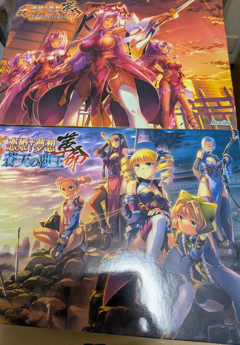 実家で恋姫探してたら初代は見つからなかったけどゲームと書籍の特典の