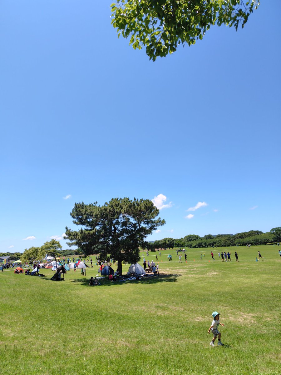 kitimune771's tweet photo. 海の中道あおぞらﾏﾗｿﾝ20km
1時間44分37秒
暑すぎて芝生がふゎふゎ過ぎて修行間満載のﾚｰｽでtensionあがりました!!1周1.25kmを16周。ﾅﾝﾄｶ粘る事ができてｼｱﾜｾ🤤ｶｲｶﾝ
#ダイエット記録
#ストレス発散 https://t.co/gXzEsqBEmh